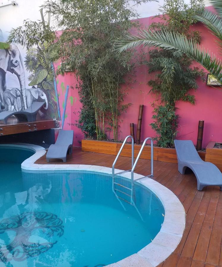 Bucanaan Hostel Boutique コルドバ エクステリア 写真
